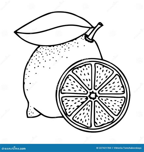 Vector Cartoon Fresh Lemon Hand Draw Lemon Doodle Icon Illustration