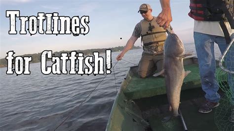 Trotline Fishing For Catfish Toledo Bend Trip 7518 Youtube