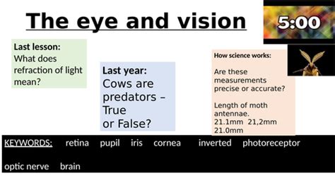 The eye and vision | Teaching Resources