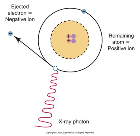 X Ray Production And Image Formation Flashcards Quizlet