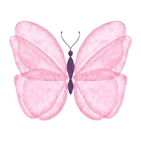 Aquarela borboleta rosa sobre fundo branco Isolado pintado à mão para