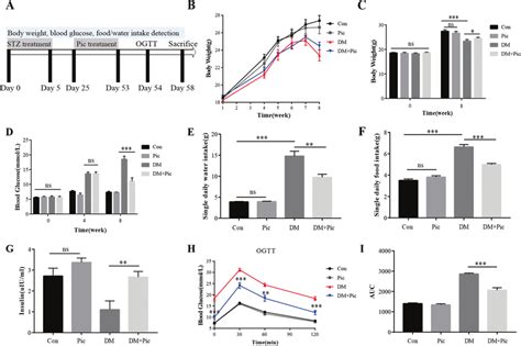 The Anti Diabetic Effects Of Pic In Stz Induced Type Diabetes Mice