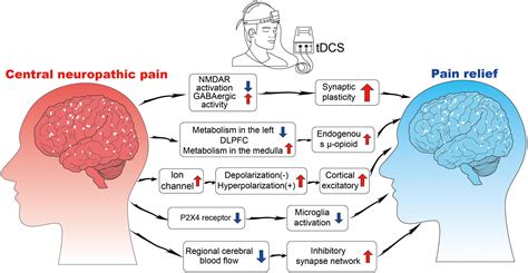 Frontiers Non Invasive Brain Stimulation For Central Neuropathic Pain