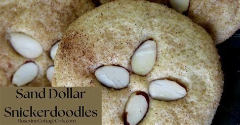 Sand Dollar Snickerdoodle Cookies