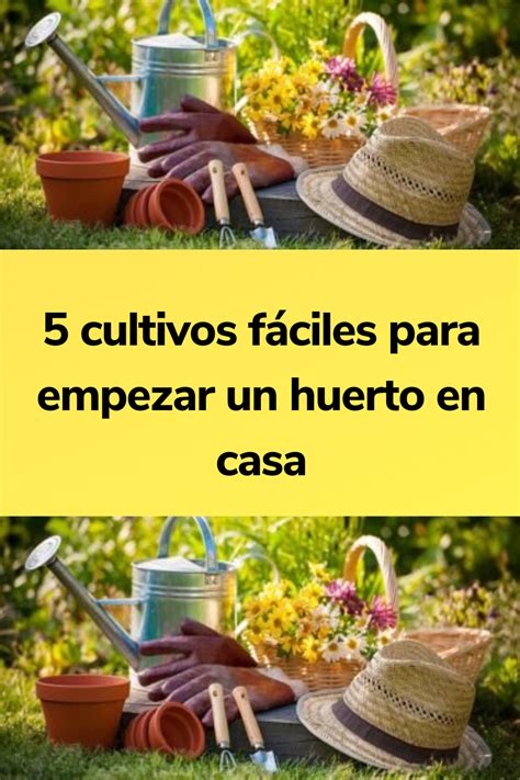 5 Cultivos Fáciles Para Empezar Un Huerto En Casa Color Plata Gardenia Garden Inspiration