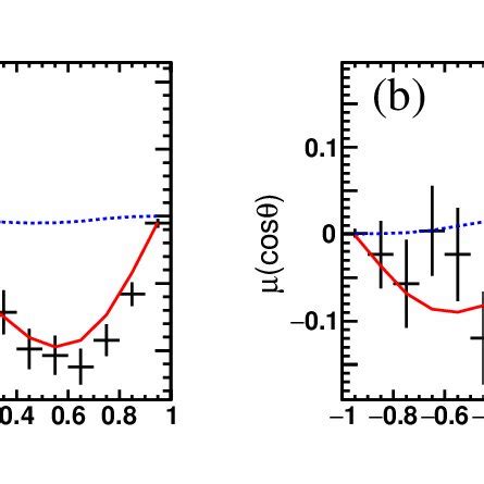 Spin Polarization In A Moment Cos Using Data Not