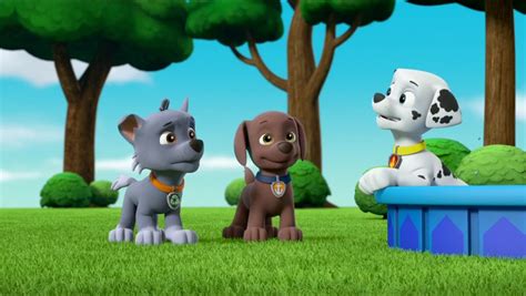 Rockygalleryultimate Rescue Pups Save Captain Gordy Paw Patrol