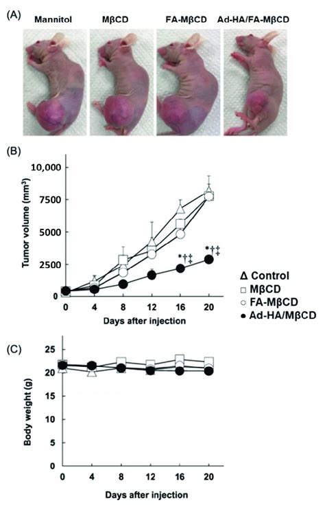 Effects Of Adamantane Grafted Hyaluronic Acid Folate Appended