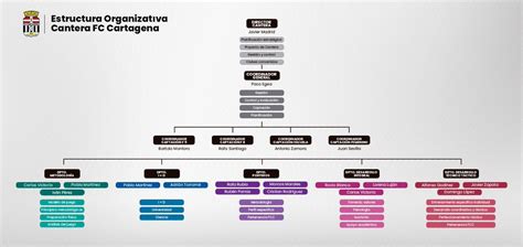 Cantera FC Cartagena on Twitter Aquí os dejamos la imagen del
