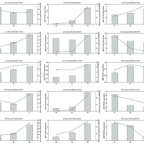 Perform QRT PCR Using 15 Randomly Selected DEGs The Bar Chart And Line