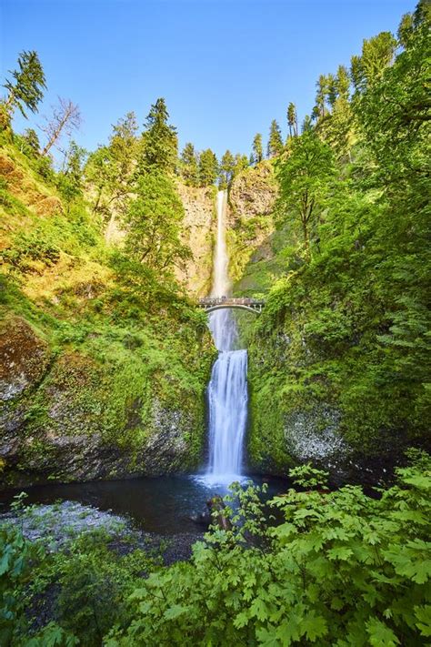 Multnomah Falls Dual Tier Waterfall With Bridge In Lush Forest Stock