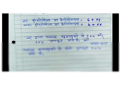 SOLUTION Sex Determination In Drosophila Full Notes Pdf Studypool