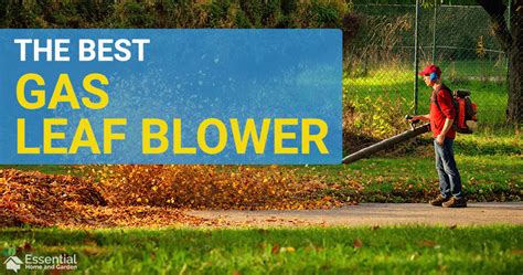 The Best Gas Leaf Blower - Top 8 Picks