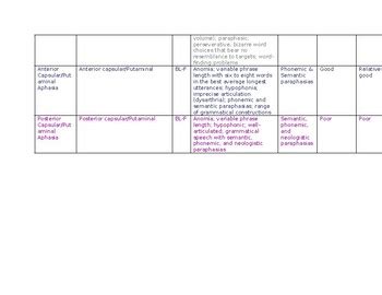 Aphasia Chart by Abbey Pratt | TPT