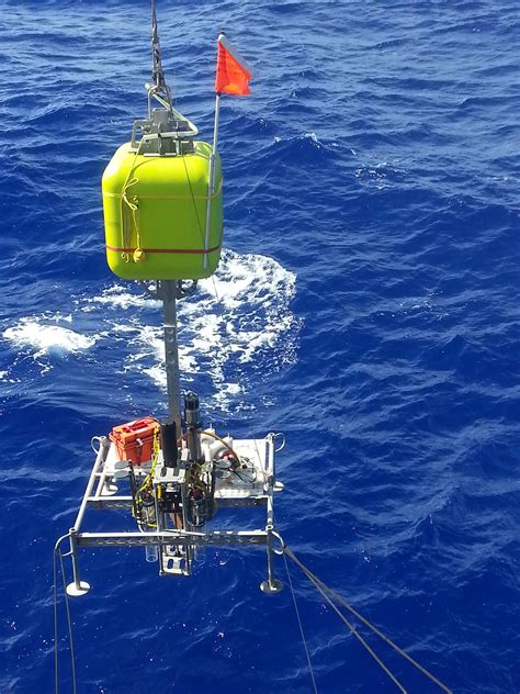 Exploring the Mariana Trench - Schmidt Ocean Institute