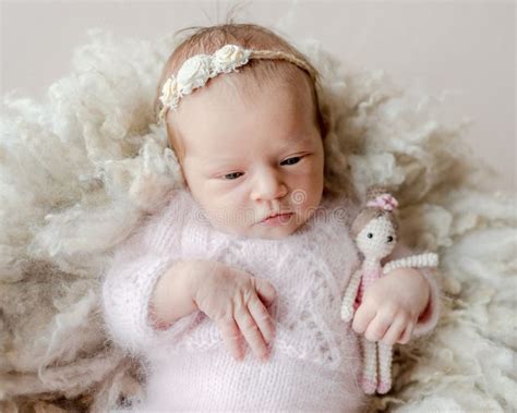 Newborn Baby Girl Studio Portrait Stock Image Image Of Infant Cute