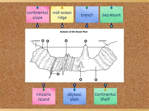 Features of the ocean floor - Labelled diagram