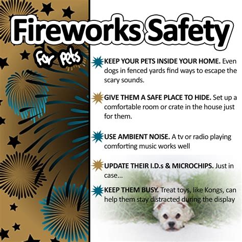 Kaxan S Tips For Making New Year S Eve Less Scary For Your Pets