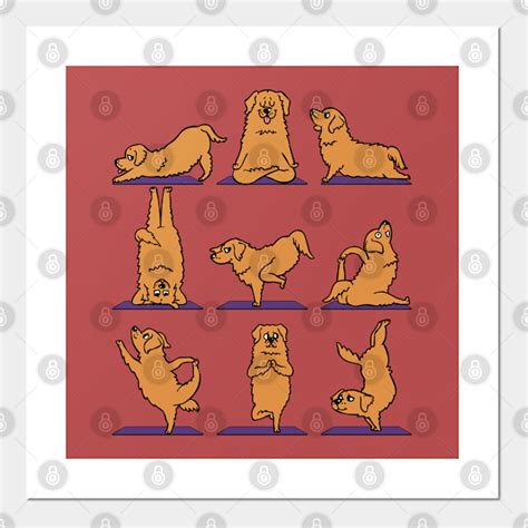 Golden Retriever Yoga - Golden Retriever - Posters and Art Prints