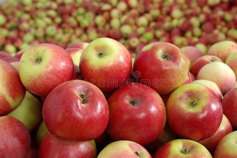 Group Apple Stock Image Image Of Essential Healthy Apple 3232447