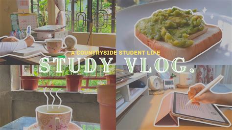 Hrs Study Vlog Freshman Biology Student Vlog A Productive Day In