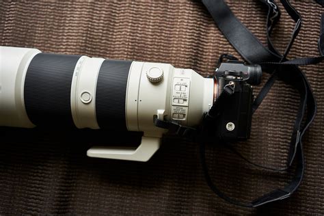 First Impressions: Sony 200-600mm f5.6-6.3 G OSS (FE Lens)