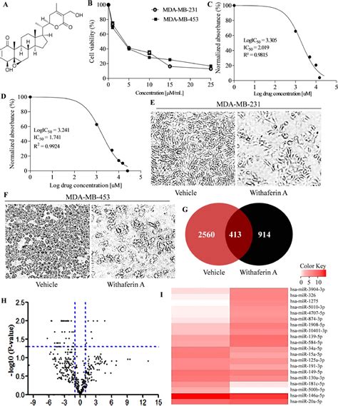 Figure From Natural Steroidal Lactone Induces G S Phase Cell Cycle