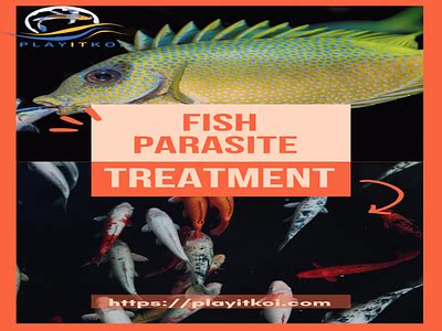 Fish Internal Parasite Treatment designs, themes, templates and ...