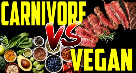 Carnivore Vs. Vegan Experiment — The Hungarian Experiment