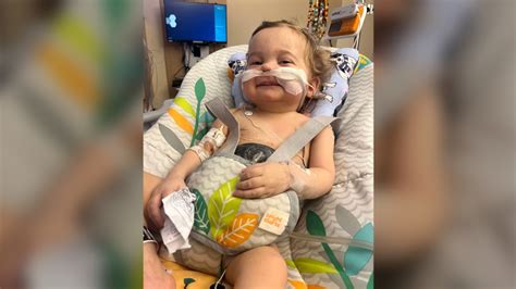 Guelph Ont Toddler Finally Gets Desperately Needed Live Liver