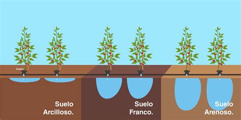 Distancia Entre Emisores En Riego Por Goteo Ipesa Hydro