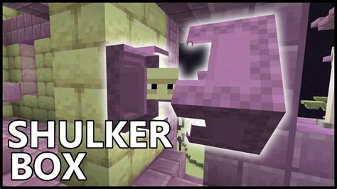 How To Get A Shulker Boxes In Minecraft Youtube