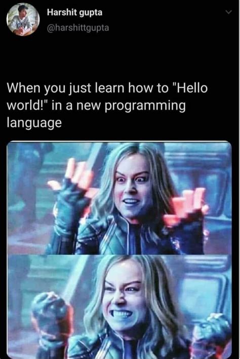 Programming Memes: Top 40 Funniest Coding Memes Only Programmers will get