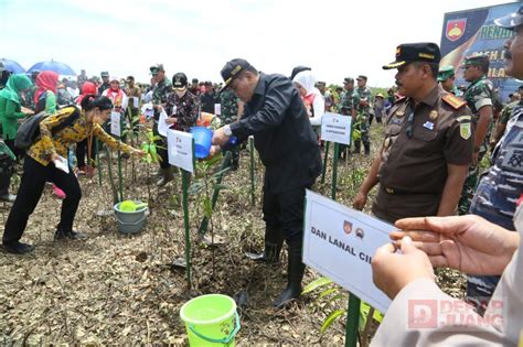 Tanam Pohon Mangrove Taufik Peranan Hutan Mangrove Penting Bagi