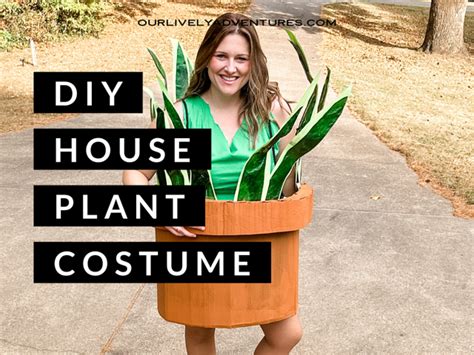 How To Make A Diy House Plant Costume Our Lively Adventures