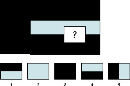 NNAT3 Naglieri Nonverbal Ability Test Mercer Publishing 2024 Update