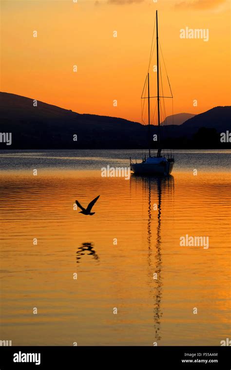 Peaceful lake scene Stock Photo - Alamy