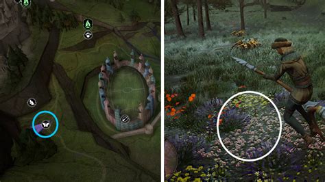 All Butterfly Locations In Hogwarts Legacy Gamepur