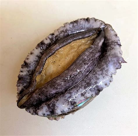 Spread Pussy V1AI Art Model LoRA PixAI