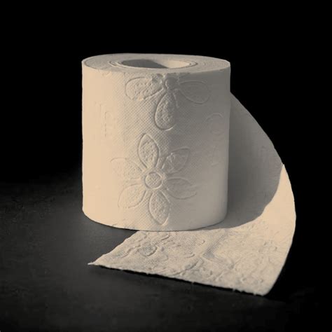 Premium Tissue Paper Products Elevate Everyday Comfort And