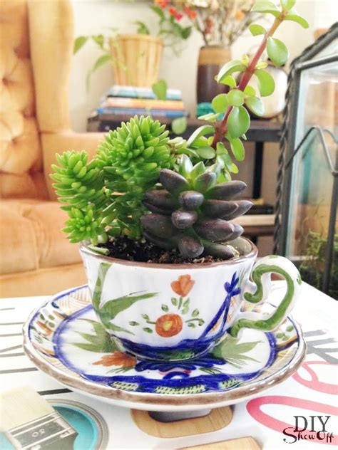 Tea Cup Succulent Planters Diy Show Off ™ Diy Decorating And Home