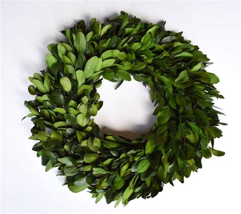 Preserved Laurel Wreath Wreaths Laurel Wreath Types Of Christmas Trees