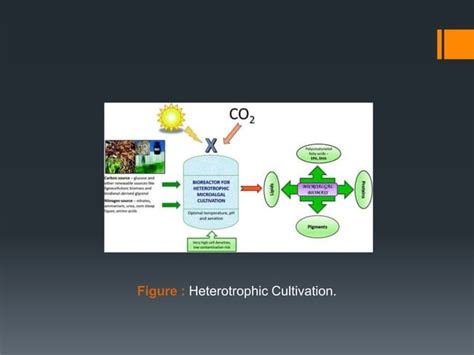 Microalgae Cultivation Methods Ppt