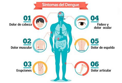 Dengue Otra Arista Para Prevenir Ash Consultores