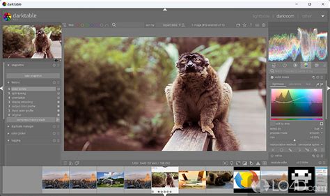 Darktable Screenshots
