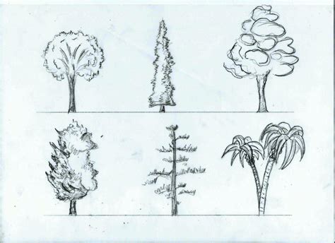 Architectural Tree Drawing at GetDrawings | Free download