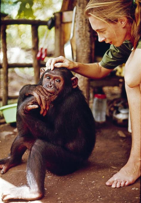 Dr Jane Goodall S Inspirational Life In Pictures Jane Goodall