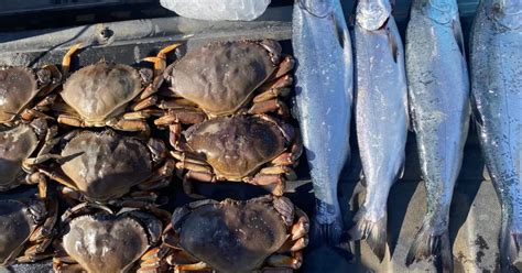 The Best Crabbing Techniques For Puget Sound Pnw Bestlife