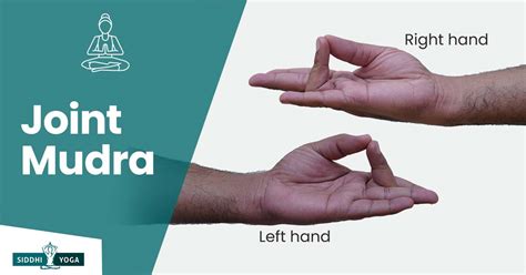 Joint Mudra Meaning Benefits And How To Do Siddhi Yoga