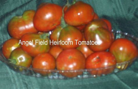 Black Heirloom Tomato Seeds